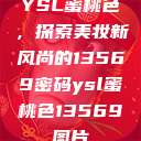 YSL蜜桃色，探索美妆新风尚的13569密码ysl蜜桃色13569图片  第1张