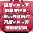 探索w.w.w下的黄皮现象，揭示其背后的真相w.w.w黄皮磨菇招商  第1张