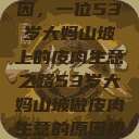 探寻背后原因，一位53岁大妈山坡上的皮肉生意之路53岁大妈山坡做皮肉生意的原因视频  第1张