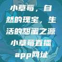 小草莓，自然的瑰宝，生活的甜蜜之源小草莓直播app网址  第1张