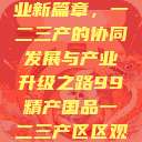 探索中国产业新篇章，一二三产的协同发展与产业升级之路99精产国品一二三产区区观看  第1张