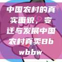 中国农村的真实面貌，变迁与发展中国农村真卖Bbwbbw  第1张