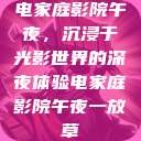 电家庭影院午夜，沉浸于光影世界的深夜体验电家庭影院午夜一放草  第1张