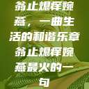翁止熄痒婉燕，一曲生活的和谐乐章翁止熄痒婉燕最火的一句  第1张
