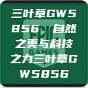 三叶草GW5856，自然之美与科技之力三叶草GW5856  第1张