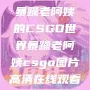 暴躁老阿姨的CSGO世界暴躁老阿姨csgo图片高清在线观看  第1张