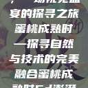 蜜桃成熟时，一场视觉盛宴的探寻之旅
蜜桃成熟时—探寻自然与技术的完美融合蜜桃成熟时5d澎湃新闻  第1张