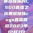 暴躁妹妹的CSGO直播之旅暴躁妹妹csgo直播回放2023年12月7日  第1张