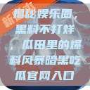 揭秘娱乐圈，黑料不打烊，瓜田里的爆料风暴暗黑吃瓜官网入口  第1张