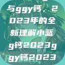 探索小蓝g钙与ggy钙，2023年的全新理解小蓝g钙2023ggy钙2023的功能介绍  第1张