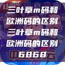 三叶草m码和欧洲码的区别三叶草m码和欧洲码的区别6868  第1张