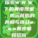 探索W.W.W下的黄皮现象，揭示背后的真相与挑战w.w.w黄皮磨菇招商  第1张