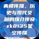 青楼传媒，历史与现代交融的媒介传奇xk8135星空传媒  第1张