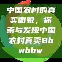 中国农村的真实面貌，探索与发现中国农村真卖Bbwbbw  第1张