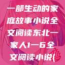 东北一家人，一部生动的家庭故事小说全文阅读东北一家人1一6全文阅读小说(番外)  第1张