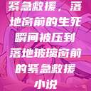 紧急救援，落地窗前的生死瞬间被压到落地玻璃窗前的紧急救援小说  第1张