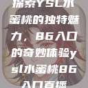 探索YSL水蜜桃的独特魅力，86入口的奇妙体验ysl水蜜桃86入口直播  第1张