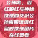 公孙离，泪红眼红与神秘铁球的交织公孙离眼流泪红脸咬铁球图片在线观看  第1张