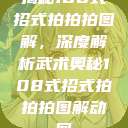 揭秘108式招式拍拍拍图解，深度解析武术奥秘108式招式拍拍拍图解动图  第1张