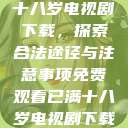 免费观看已满十八岁电视剧下载,探索合法途径与注意事项免费观看已满十八岁电视剧下载在线播放 第1张 免费观看已满十八岁电视剧下载,探索合法途径与注意事项免费观看已满十八岁电视剧下载在线播放 第1张