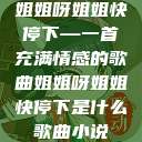 姐姐呀姐姐快停下—一首充满情感的歌曲姐姐呀姐姐快停下是什么歌曲小说  第1张
