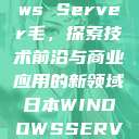 日本Windows Server毛，探索技术前沿与商业应用的新领域日本WINDOWSSERVER毛  第1张