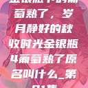 金银瓶下的葡萄熟了，岁月静好的秋收时光金银瓶4葡萄熟了原名叫什么_第01集  第1张