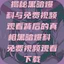 揭秘黑暗爆料与免费视频观看背后的真相黑暗爆料 免费视频观看下载  第1张