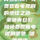 青丝影院，免费观看电视剧的绝佳之选—策驰青丝影院免费观看电视剧策驰 暖暖国语  第1张