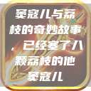 窦寇儿与荔枝的奇妙故事，已经塞了八颗荔枝的他窦寇儿  第1张