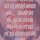 揭秘108式招式拍拍拍图解，深度解析与实战应用108式招式拍拍拍图解动图  第1张