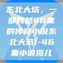 东北大坑，一部跨越46集的传奇小说东北大坑1-46集小说狗儿  第1张