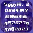 探索小蓝g钙与ggy钙，2023年的全新理解小蓝g钙2023ggy钙2023的功能介绍  第1张