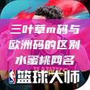 三叶草m码与欧洲码的区别水蜜桃网名  第1张