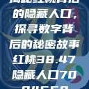 揭秘红桃背后的隐藏人口，探寻数字背后的秘密故事红桃38.47隐藏人口7004658  第1张