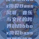 俄罗斯BBox撕裂Bass风潮，音乐与文化的跨界融合bbox撕裂bass俄罗斯暗夜  第1张