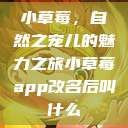 小草莓，自然之宠儿的魅力之旅小草莓app改名后叫什么  第1张