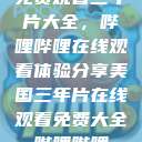 免费观看三年片大全，哔哩哔哩在线观看体验分享美国三年片在线观看免费大全哔哩哔哩  第1张