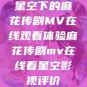 星空下的麻花传剧MV在线观看体验麻花传剧mv在线看星空影视评价  第1张