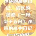 小诗的高中日记，成长的足迹（一月至十五日）小诗的高中日记1一15小说  第1张