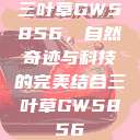 三叶草GW5856，自然奇迹与科技的完美结合三叶草GW5856  第1张