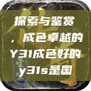 探索与鉴赏，成色卓越的Y31成色好的y31s是国  第1张