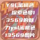YSL蜜桃色，探索色号13569的魅力ysl蜜桃色13569图片  第1张