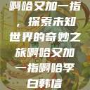 啊哈又加一指，探索未知世界的奇妙之旅啊哈又加一指啊哈李白韩信  第1张