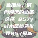YSL水蜜桃色推荐,时尚潮流的必备选择 857ysl水蜜桃色推荐857最新款式 第1张 YSL水蜜桃色推荐,时尚潮流的必备选择 857ysl水蜜桃色推荐857最新款式 第1张