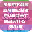 金银瓶下的葡萄成熟记金银瓶4葡萄熟了原名叫什么_第01集  第1张