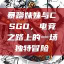暴躁妹妹与CSGO，电竞之路上的一场独特冒险  第1张