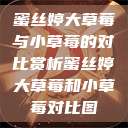蜜丝婷大草莓与小草莓的对比赏析蜜丝婷大草莓和小草莓对比图  第1张