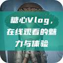 糖心Vlog，在线观看的魅力与体验  第1张