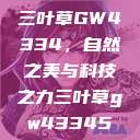 三叶草GW4334，自然之美与科技之力三叶草gw43345  第1张